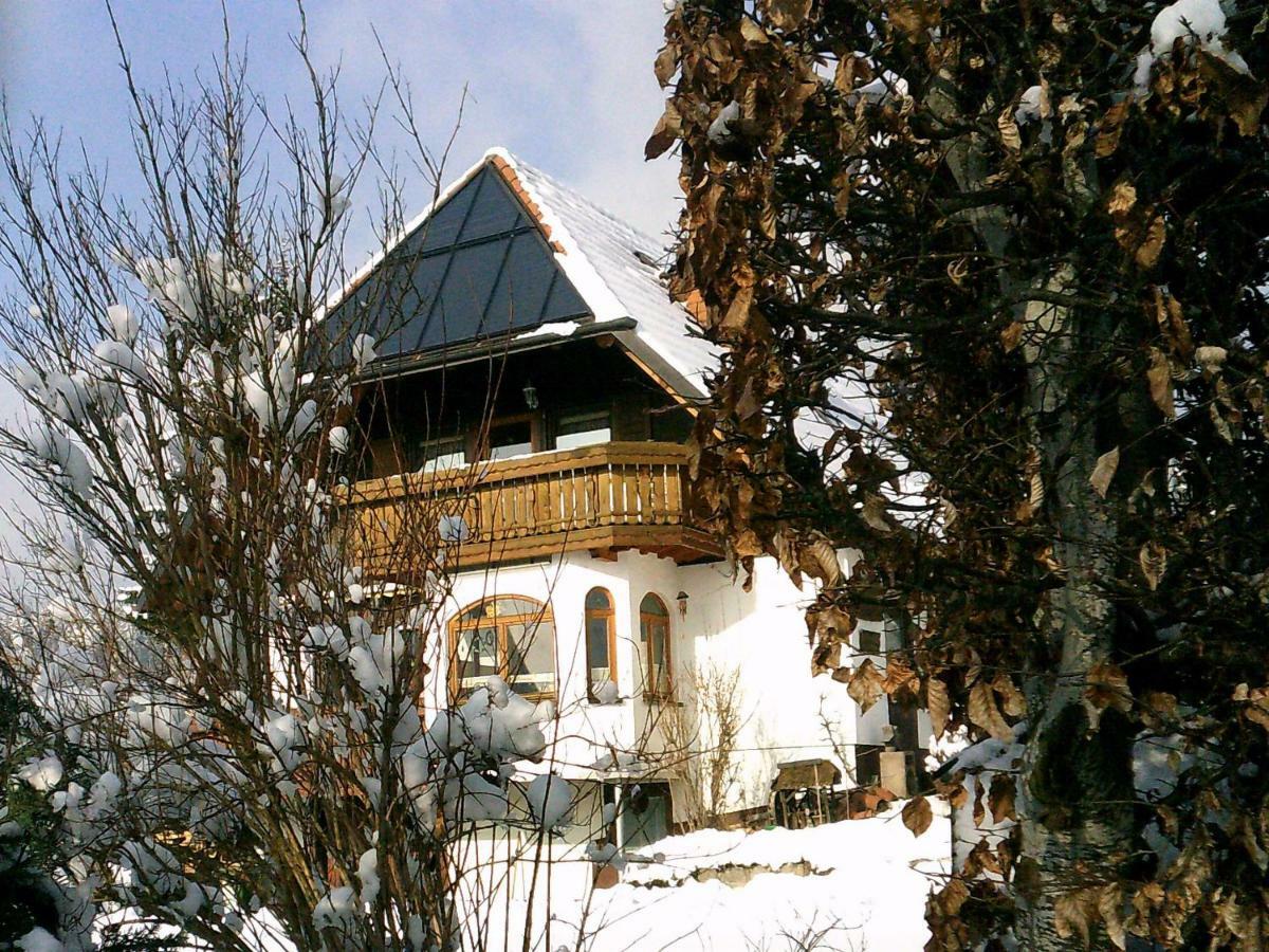 Ferienwohnung Haus Barbara Bräunlingen Екстериор снимка